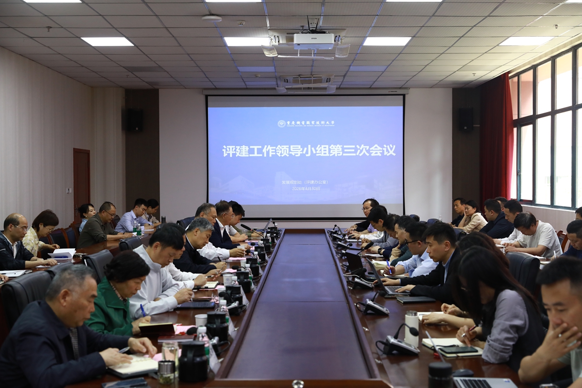 MNC_0313 MNC_0313